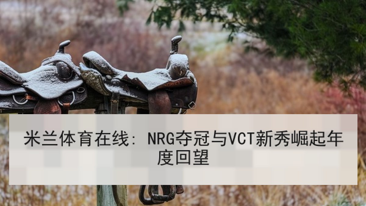米兰体育在线: NRG夺冠与VCT新秀崛起年度回望 米兰体育在线: NRG夺冠与VCT新秀崛起年度回望